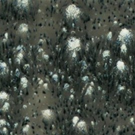 Cosmic Black - 4oz Mayco Crystal Glaze